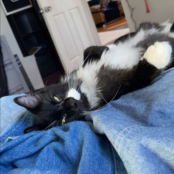 Meet your Posher, Leanne - Picture 8 of 13